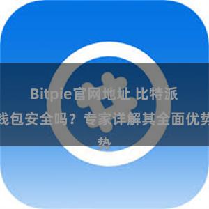 Bitpie官网地址 比特派钱包安全吗？专家详解其全面优势