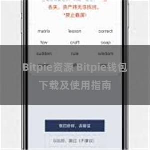 Bitpie资源 Bitpie钱包下载及使用指南