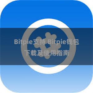 Bitpie支持 Bitpie钱包下载及使用指南