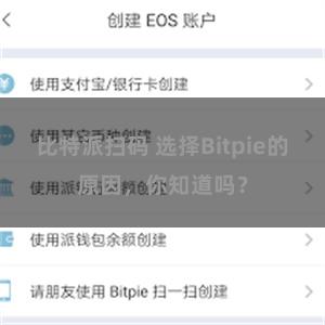 比特派扫码 选择Bitpie的原因，你知道吗？