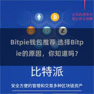 Bitpie钱包推荐 选择Bitpie的原因，你知道吗？