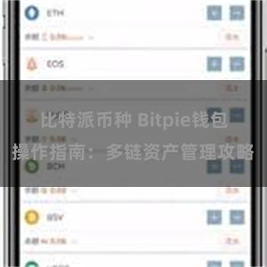 比特派币种 Bitpie钱包操作指南：多链资产管理攻略