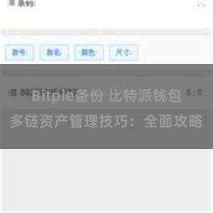 Bitpie备份 比特派钱包多链资产管理技巧：全面攻略