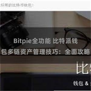 Bitpie全功能 比特派钱包多链资产管理技巧：全面攻略