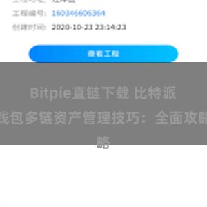 Bitpie直链下载 比特派钱包多链资产管理技巧：全面攻略