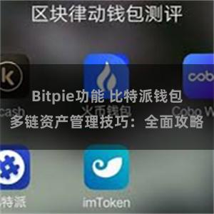 Bitpie功能 比特派钱包多链资产管理技巧：全面攻略