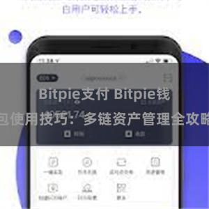 Bitpie支付 Bitpie钱包使用技巧：多链资产管理全攻略