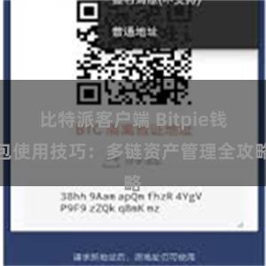 比特派客户端 Bitpie钱包使用技巧：多链资产管理全攻略