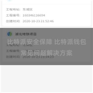 比特派安全保障 比特派钱包常见问题解决方案