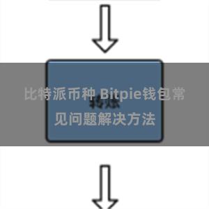 比特派币种 Bitpie钱包常见问题解决方法