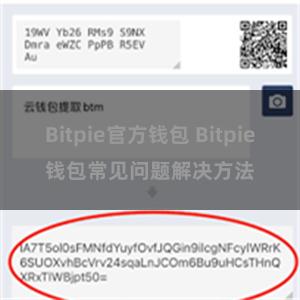 Bitpie官方钱包 Bitpie钱包常见问题解决方法