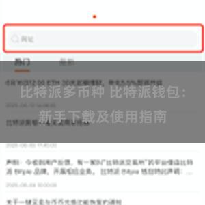 比特派多币种 比特派钱包：新手下载及使用指南