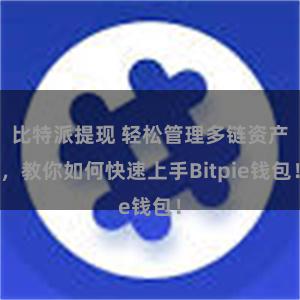 比特派提现 轻松管理多链资产，教你如何快速上手Bitpie钱包！