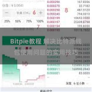 Bitpie教程 解决比特派钱包使用问题的实用技巧