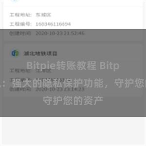 Bitpie转账教程 Bitpie钱包：强大的隐私保护功能，守护您的资产