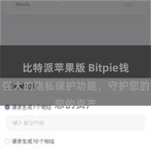 比特派苹果版 Bitpie钱包：强大的隐私保护功能，守护您的资产