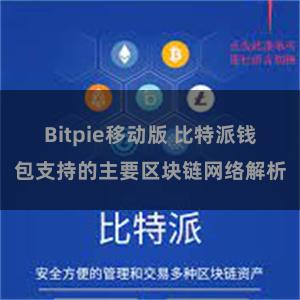 Bitpie移动版 比特派钱包支持的主要区块链网络解析