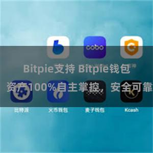 Bitpie支持 Bitpie钱包：资产100%自主掌控，安全可靠。