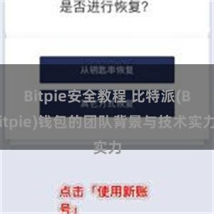 Bitpie安全教程 比特派(Bitpie)钱包的团队背景与技术实力