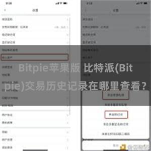 Bitpie苹果版 比特派(Bitpie)交易历史记录在哪里查看？