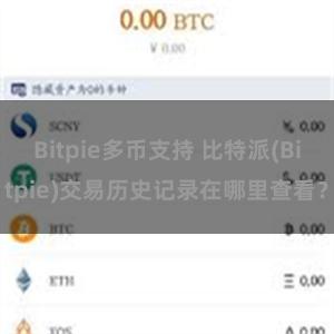 Bitpie多币支持 比特派(Bitpie)交易历史记录在哪里查看？