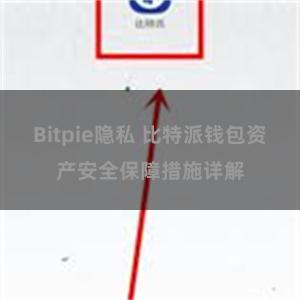 Bitpie隐私 比特派钱包资产安全保障措施详解