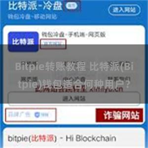 Bitpie转账教程 比特派(Bitpie)钱包适合何种用户？