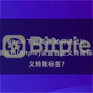Bitpie下载资源 如何通过比特派钱包(Bitpie)设置自定义转账标签？