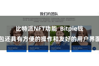比特派NFT功能  Bitpie钱包还具有方便的操作和友好的用户界面
