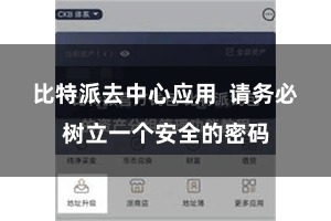 比特派去中心应用  请务必树立一个安全的密码