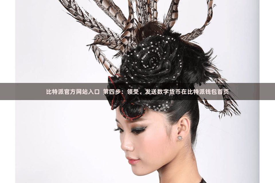 比特派官方网站入口  第四步：领受、发送数字货币在比特派钱包首页
