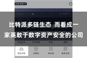 比特派多链生态  而看成一家英敢于数字资产安全的公司