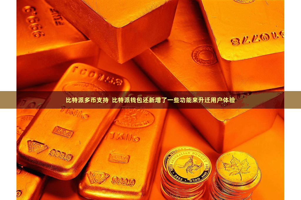 比特派多币支持  比特派钱包还新增了一些功能来升迁用户体验