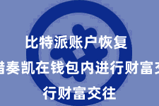 比特派账户恢复  不错奏凯在钱包内进行财富交往